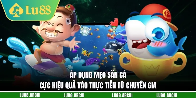 Áp dụng mẹo săn cá cực hiệu quả vào thực tiễn từ chuyên gia