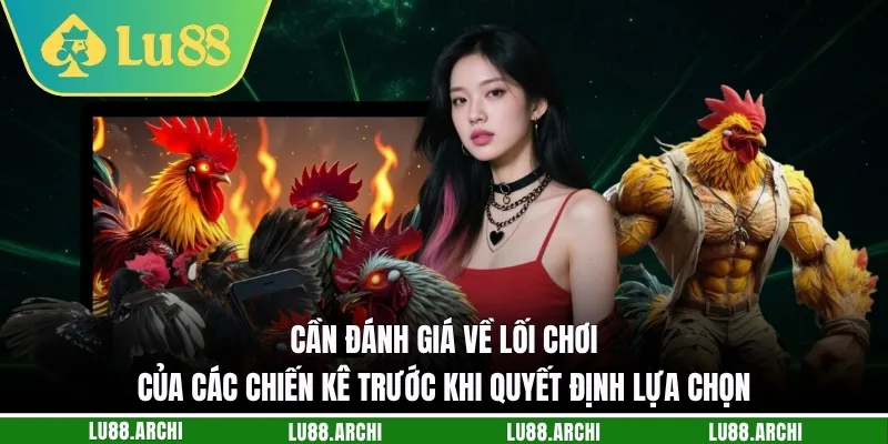 Cần đánh giá về lối chơi của các chiến kê trước khi quyết định lựa chọn