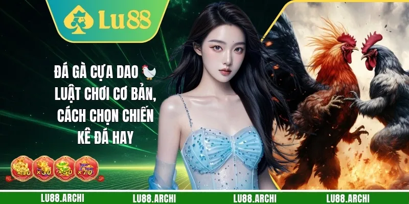 Đá Gà Cựa Dao
