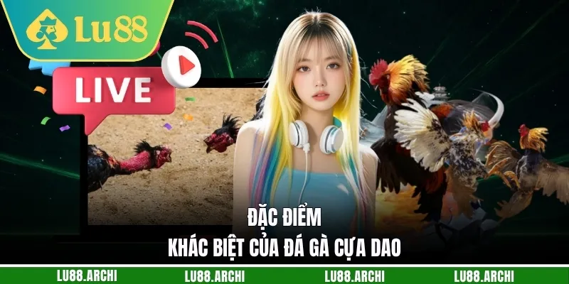 Đặc điểm khác biệt của đá gà cựa dao