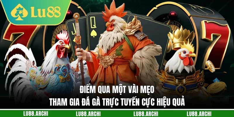 Điểm qua một vài mẹo tham gia đá gà trực tuyến cực hiệu quả