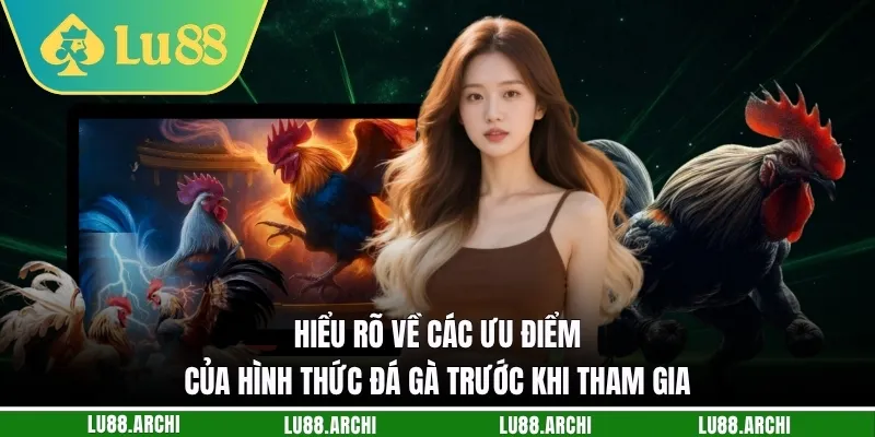 Hiểu rõ về các ưu điểm của hình thức đá gà trước khi tham gia