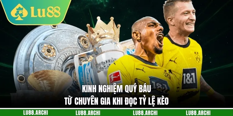 Kinh nghiệm quý báu từ chuyên gia khi đọc tỷ lệ kèo