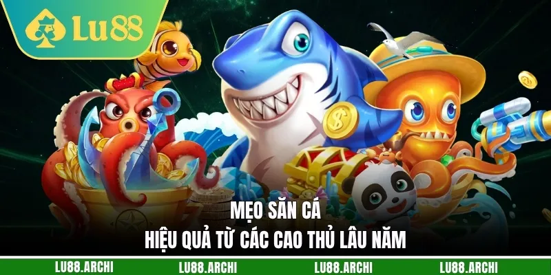 Mẹo săn cá hiệu quả từ các cao thủ lâu năm