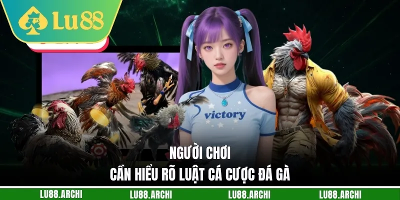 Người chơi cần hiểu rõ luật cá cược đá gà